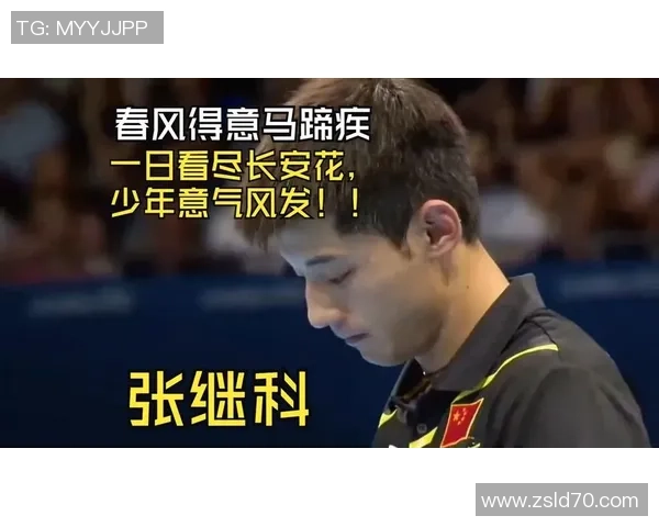 2013年王皓与张继科世乒赛男单决赛精彩对决回顾土豆网视频分享