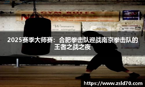 2025赛季大师赛：合肥拳击队迎战南京拳击队的王者之战之夜