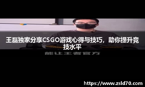 王磊独家分享CSGO游戏心得与技巧，助你提升竞技水平